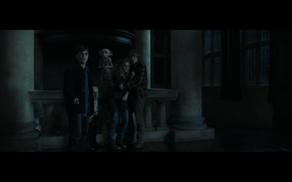 Harry Potter and the Deathly Hallows Part 1 - 1232