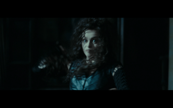 Harry Potter and the Deathly Hallows Part 1 - 1242