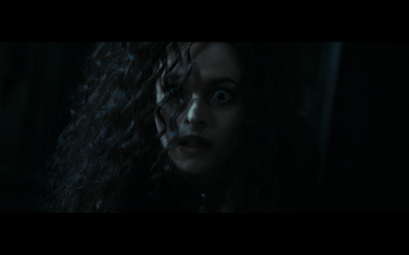 Harry Potter and the Deathly Hallows Part 1 - 1250