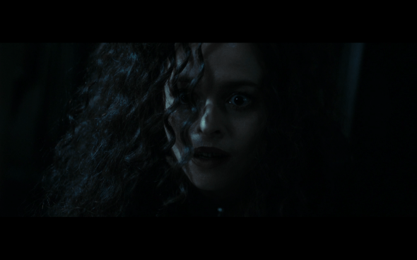 Harry Potter and the Deathly Hallows Part 1 - 1252