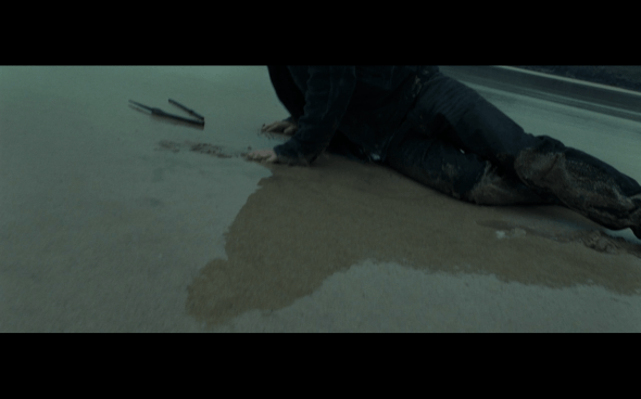 Harry Potter and the Deathly Hallows Part 1 - 1254