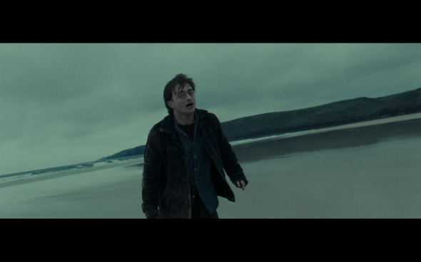 Harry Potter and the Deathly Hallows Part 1 - 1255