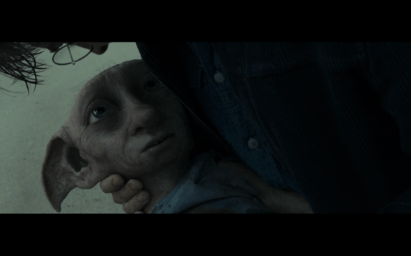 Harry Potter and the Deathly Hallows Part 1 - 1265