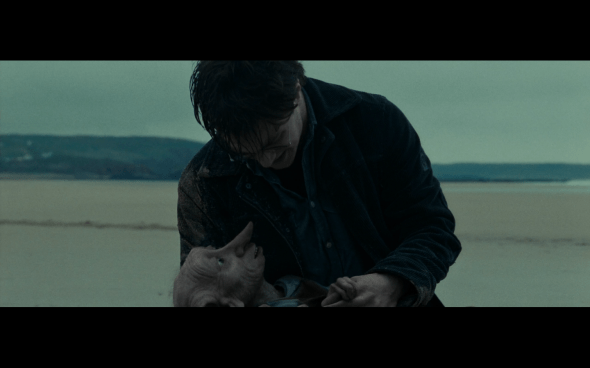 Harry Potter and the Deathly Hallows Part 1 - 1266