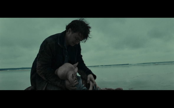 Harry Potter and the Deathly Hallows Part 1 - 1269