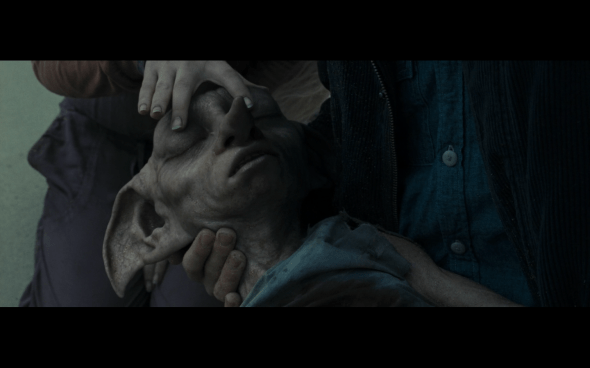 Harry Potter and the Deathly Hallows Part 1 - 1272