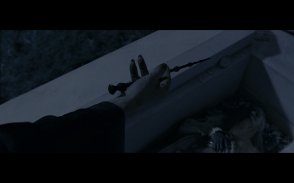 Harry Potter and the Deathly Hallows Part 1 - 1294