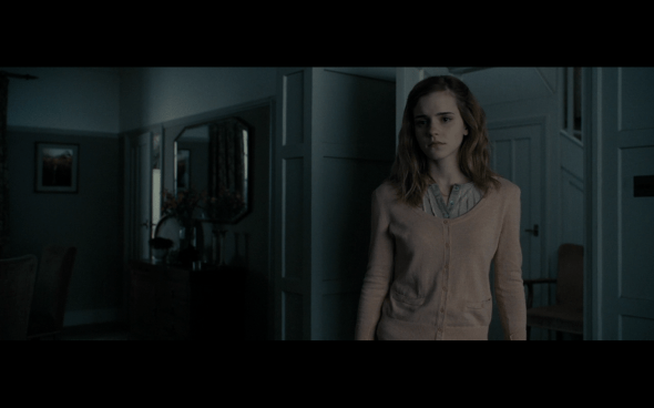 Harry Potter and the Deathly Hallows Part 1 - 17