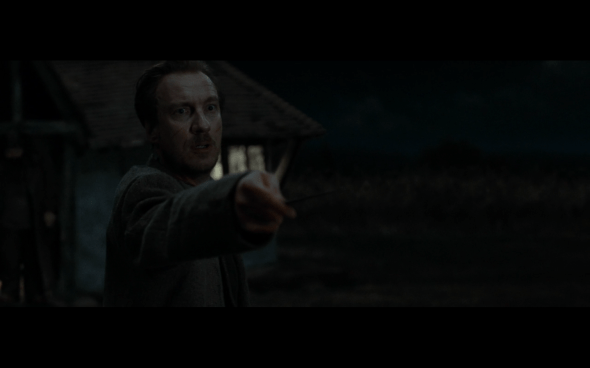 Harry Potter and the Deathly Hallows Part 1 - 254