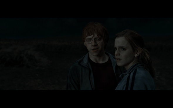 Harry Potter and the Deathly Hallows Part 1 - 268