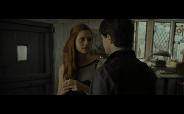 Harry Potter and the Deathly Hallows Part 1 - 312