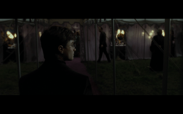 Harry Potter and the Deathly Hallows Part 1 - 358