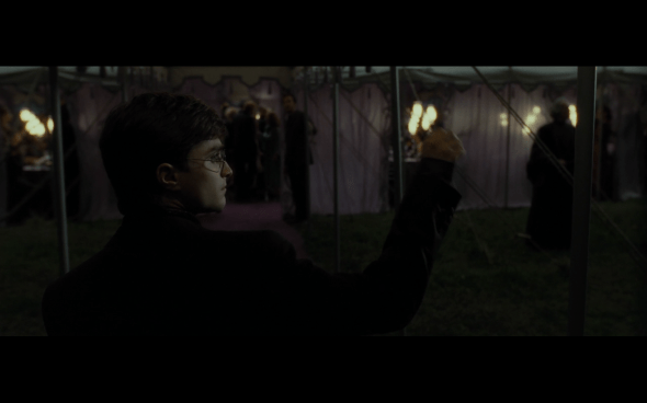 Harry Potter and the Deathly Hallows Part 1 - 359