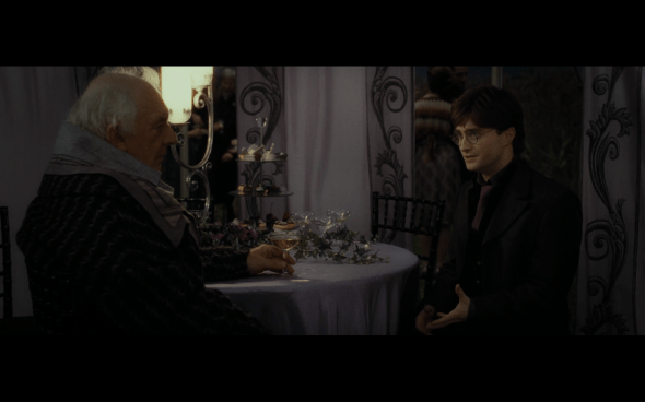 Harry Potter and the Deathly Hallows Part 1 - 376