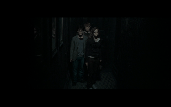 Harry Potter and the Deathly Hallows Part 1 - 462