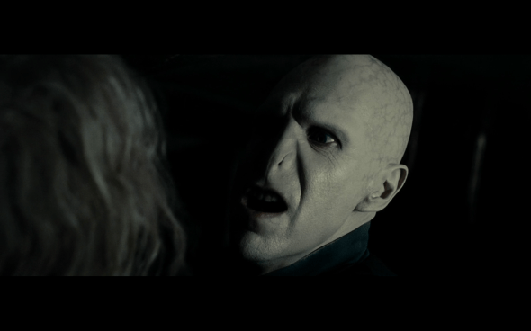 Harry Potter and the Deathly Hallows Part 1 - 463