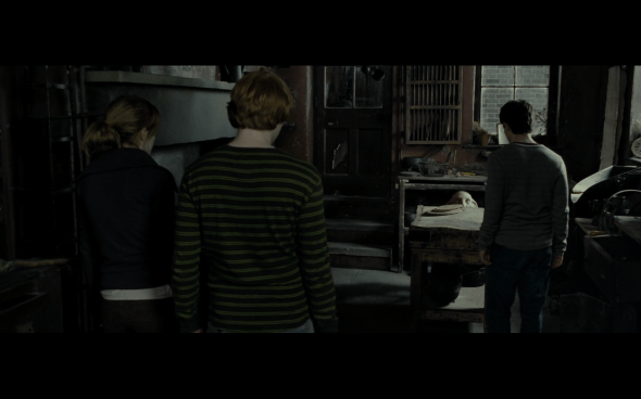 Harry Potter and the Deathly Hallows Part 1 - 482