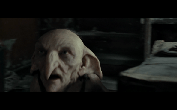 Harry Potter and the Deathly Hallows Part 1 - 486