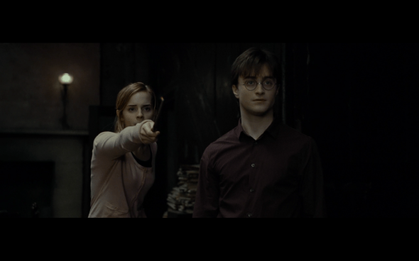 Harry Potter and the Deathly Hallows Part 1 - 519