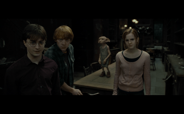 Harry Potter and the Deathly Hallows Part 1 - 526