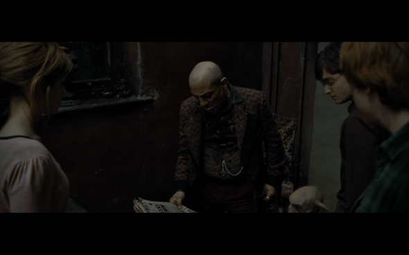 Harry Potter and the Deathly Hallows Part 1 - 528