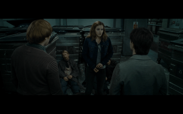 Harry Potter and the Deathly Hallows Part 1 - 537