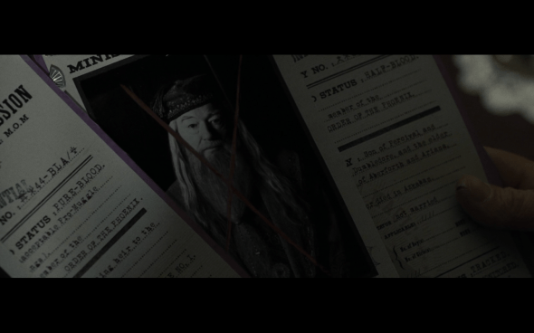 Harry Potter and the Deathly Hallows Part 1 - 588