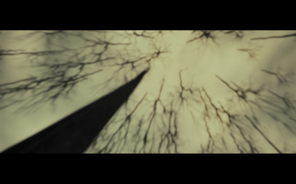 Harry Potter and the Deathly Hallows Part 1 - 653a