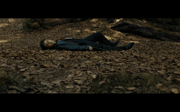 Harry Potter and the Deathly Hallows Part 1 - 657