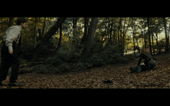 Harry Potter and the Deathly Hallows Part 1 - 659