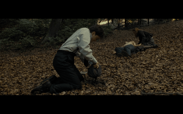 Harry Potter and the Deathly Hallows Part 1 - 660