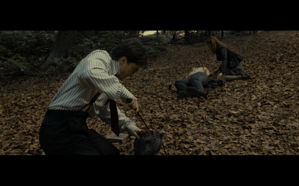 Harry Potter and the Deathly Hallows Part 1 - 661