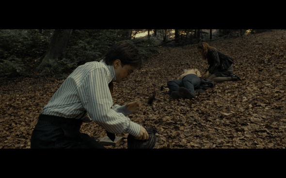 Harry Potter and the Deathly Hallows Part 1 - 662