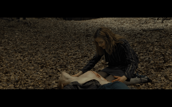 Harry Potter and the Deathly Hallows Part 1 - 663