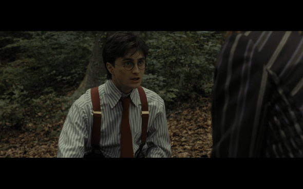 Harry Potter and the Deathly Hallows Part 1 - 665a