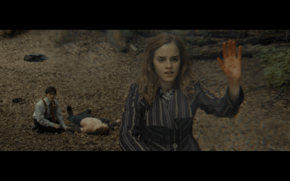 Harry Potter and the Deathly Hallows Part 1 - 669