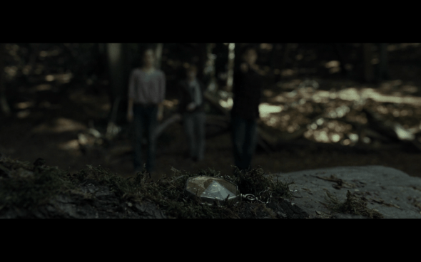 Harry Potter and the Deathly Hallows Part 1 - 673