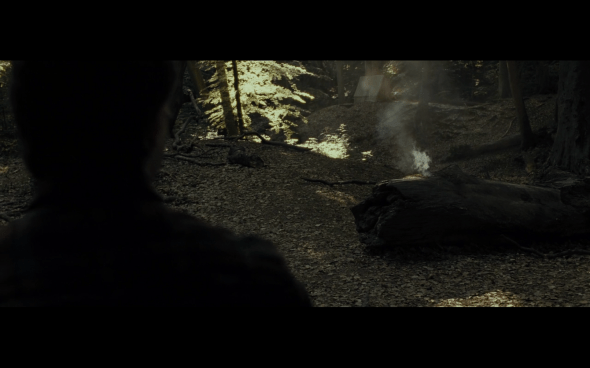 Harry Potter and the Deathly Hallows Part 1 - 675