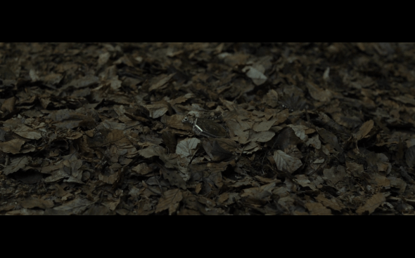 Harry Potter and the Deathly Hallows Part 1 - 676