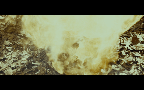 Harry Potter and the Deathly Hallows Part 1 - 676b