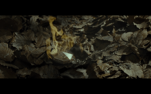 Harry Potter and the Deathly Hallows Part 1 - 677