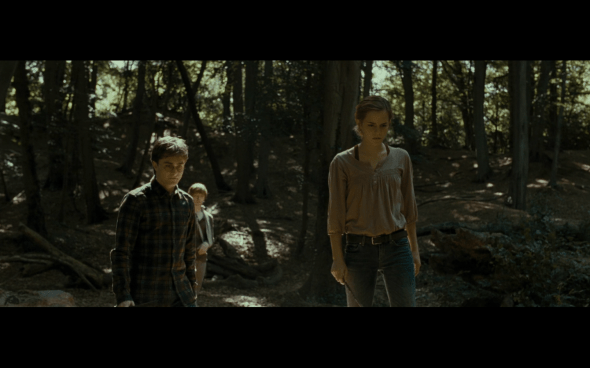 Harry Potter and the Deathly Hallows Part 1 - 677a