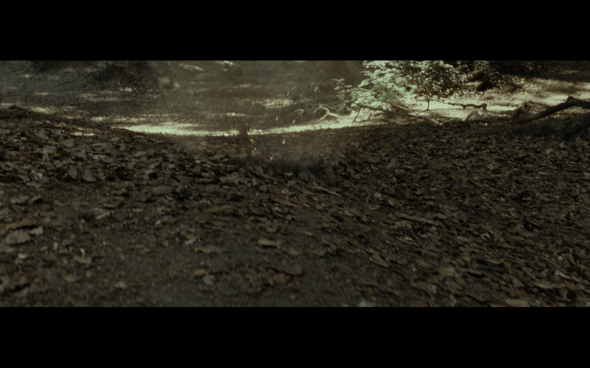 Harry Potter and the Deathly Hallows Part 1 - 678