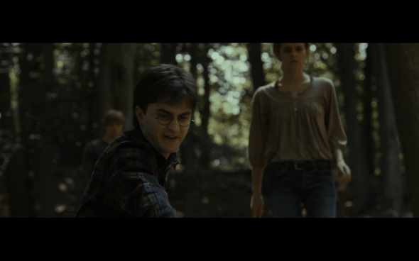 Harry Potter and the Deathly Hallows Part 1 - 678a