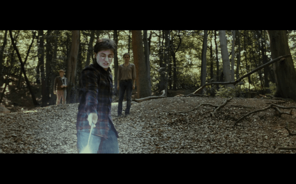 Harry Potter and the Deathly Hallows Part 1 - 678c