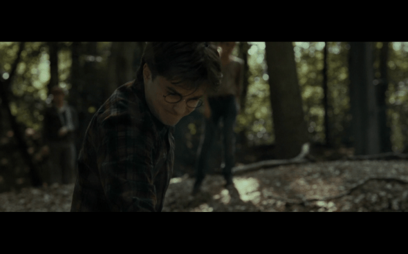 Harry Potter and the Deathly Hallows Part 1 - 678e