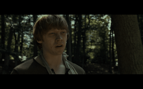 Harry Potter and the Deathly Hallows Part 1 - 680