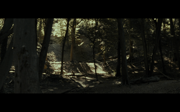 Harry Potter and the Deathly Hallows Part 1 - 682