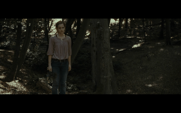 Harry Potter and the Deathly Hallows Part 1 - 691