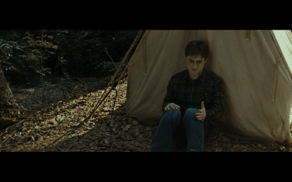 Harry Potter and the Deathly Hallows Part 1 - 692